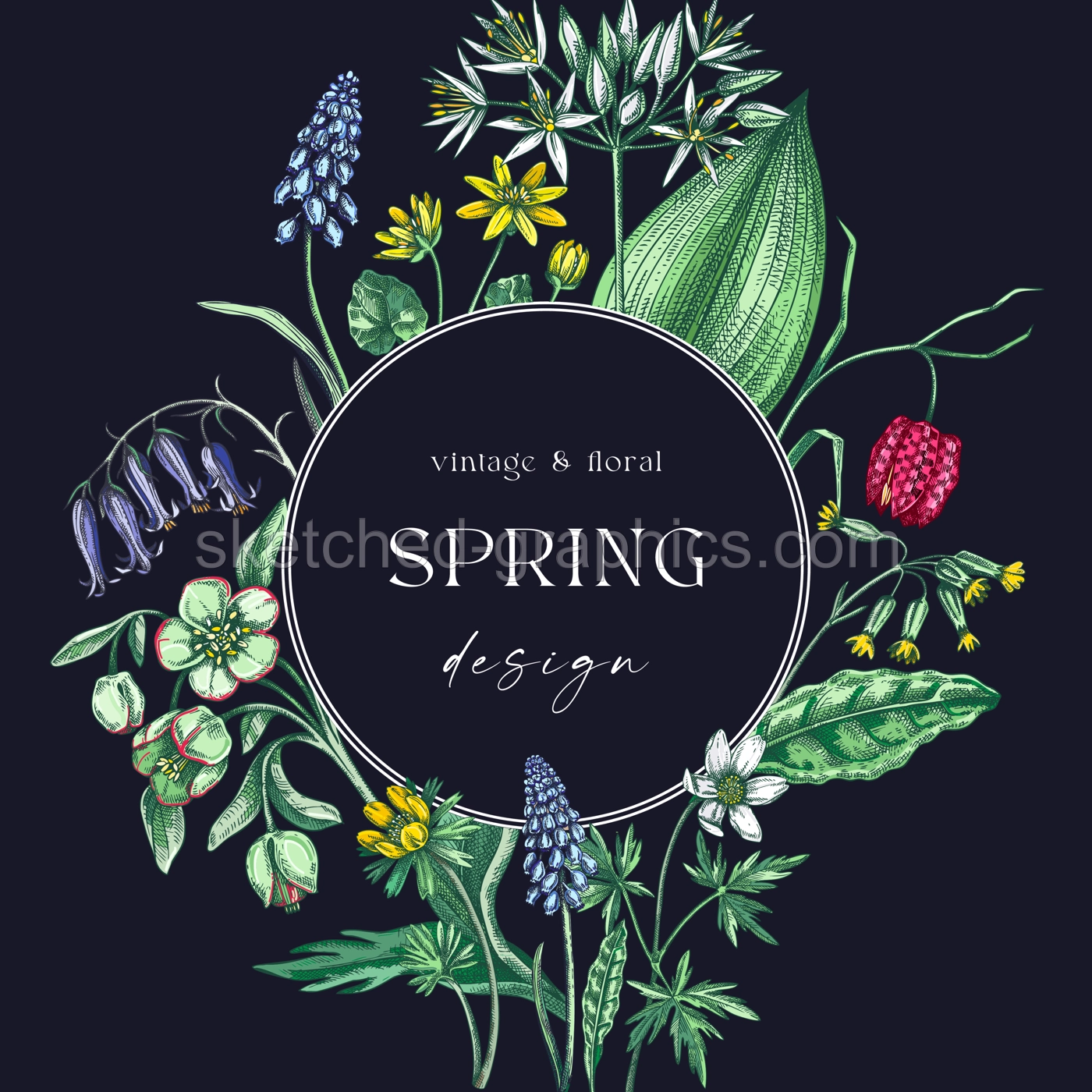 Elegant spring poster design. Wildflowers print in color. Woodland wild flower sketches. Floral background. Botanical card, invitation template . Hand drawn vector illustration, NOT AI Illustration
